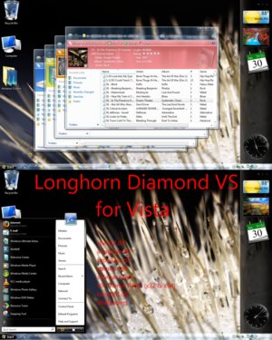 Longhorn Diamond 6001 VS